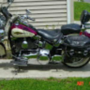 Meet your Posher, Larry